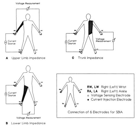 Bioelectrical Impedance Analysis Bmeg442 Engineering Exercise And Sports