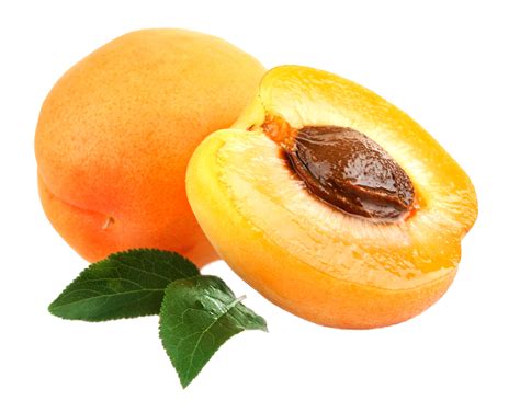 Абрикос PNG