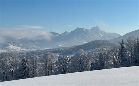 Bavaria in the Snow - eugyppius: a plague chronicle