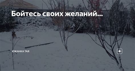 Бойтесь своих желаний... | Южанка Тая | Дзен