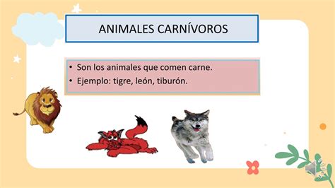 Primer Grado clasificación de los animales según su alimentación YouTube