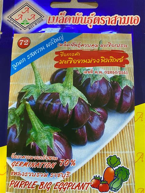 Thai Purple Round Big Eggplant Seeds Etsy