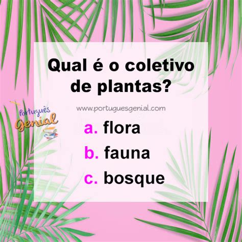 Coletivo De Plantas De Uma Região - Coletivo de plantas - Qual é o coletivo de plantas? | Português Genial