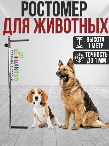 Ростомер для измерения роста собак, до 1 м, металлический инструмент ...