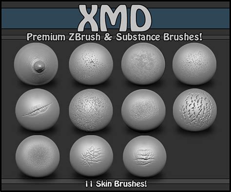 Skin Brush Set 1 Zbrush And Sub Painter