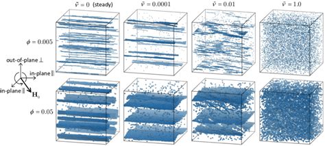 snapshots  simulations  paramagnetic particles