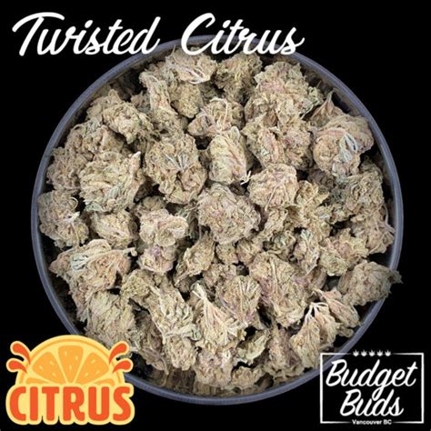 Twisted Citrus Sativa Oz Budget Buds