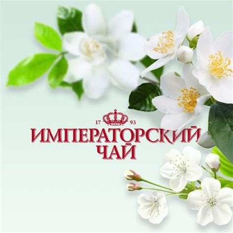 Чай оптом в Москве | Купить чай оптом от производителя ООО ...