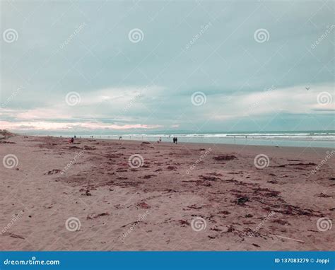 New Brighton Beach at Sunset, Canterbury, South Island, New Zealand ...