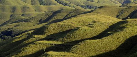 sumba hostels expedia