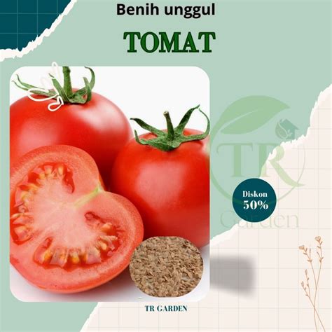 Jual ( 50 biji ) Benih biji tomat sayur besar unggul | berkualitas ...