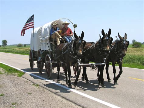 Mule days: Rinker Buck revisits the Oregon Trail | Books ...