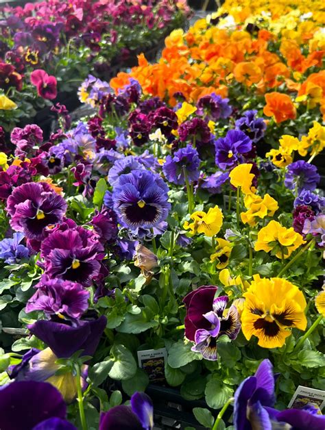 Northland Farm & Garden Center | Cumberland RI