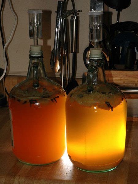 Chocolate Mead aka Liquid Sex Mead Recipe - The Homestead Survival