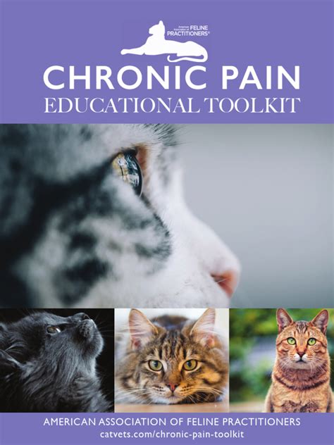 Aafp Chronic Pain Toolkit Full Pdf Pain Pain Management