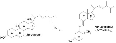 35. витамины II С-U