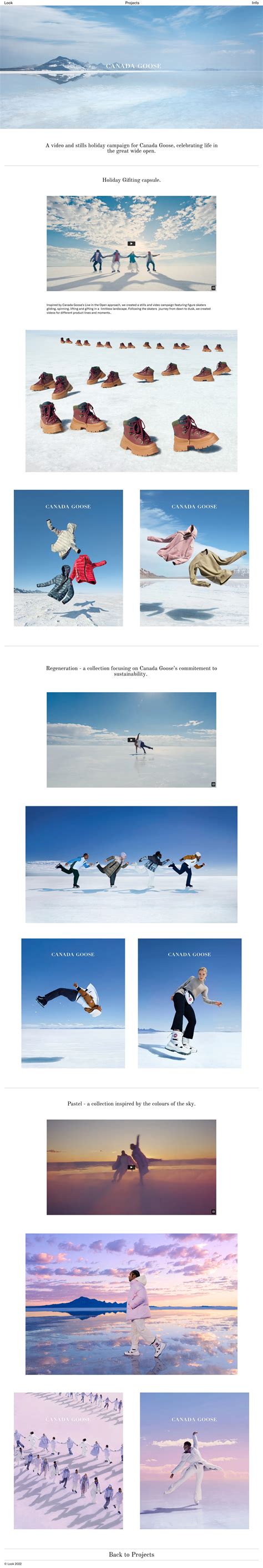 website design lapa ninja