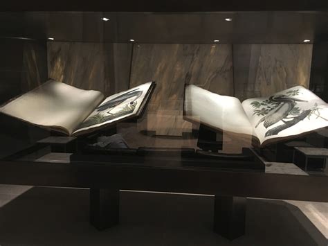 Seeing Gutenberg & Audubon -- Image Gallery | Beinecke Rare Book