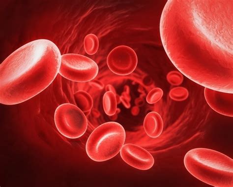 Polycythemia Vera What It Is Symptoms Causes And Treatment