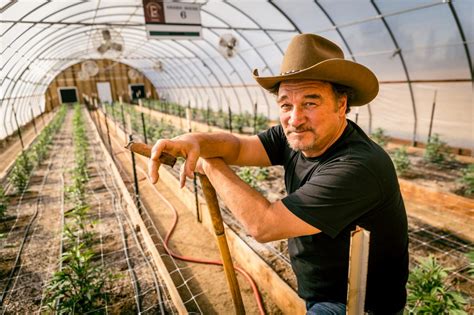 Jim Belushi Shows Off Legal Cannabis Farm in New Discovery Channel Show ...