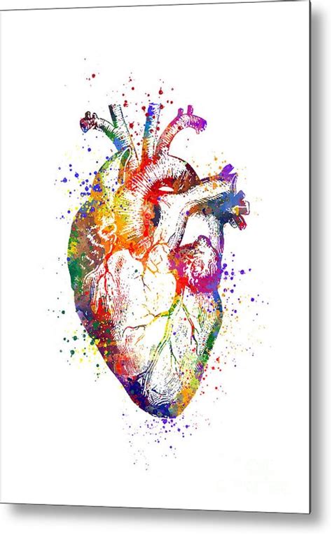 Watercolor Human Heart