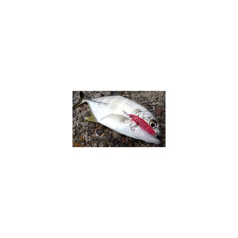 Duel Hardcore Minnow Color HGR Size Mm Cm 5 Cm