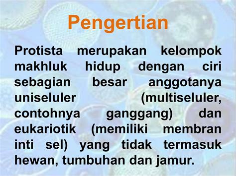 protista mater kelas  sma kurikulum   pptx