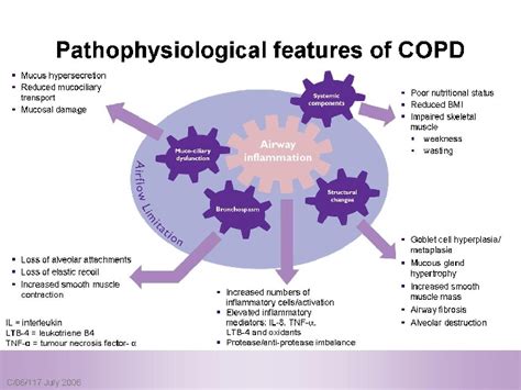 Chronic Obstructive Pulmonary Disease Copd