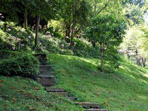 Faire Un Escalier Jardin En Pente Collection De Photos De Jardin