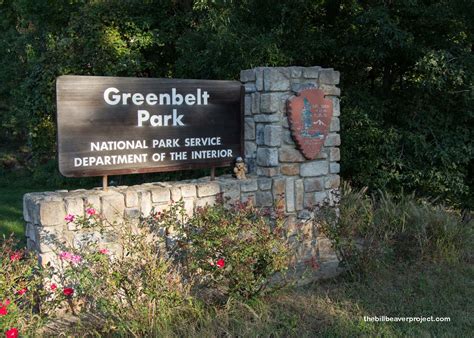 Greenbelt Park! - The Bill Beaver Project