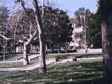 Annette Haven Porn Videos Porn Star Sex Scenes Xhamster