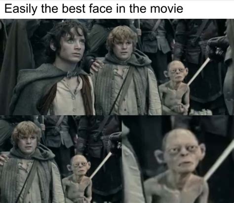 25 Memes That Prove Gollum Is Everyone's Favorite 'Lord Of The Rings ...