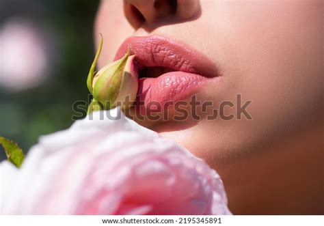 Sexy Lips Beauty Red Lips Makeup Stock Photo Shutterstock