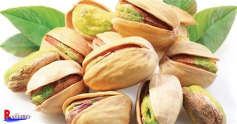 Фисташки невероятно полезны: съедайте 10 штучек в день | Фисташки ...