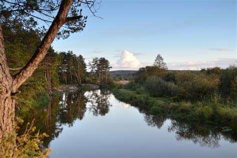 Река Неман (76 фото)