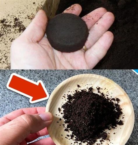 Growing - Throwing away coffee grounds is the stupidest thing you can