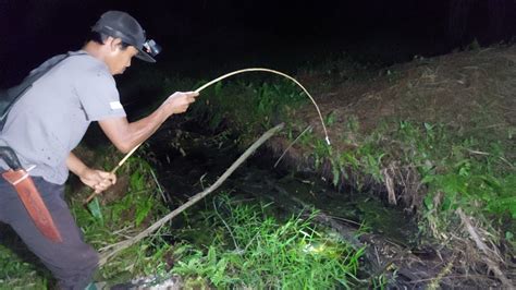 PARIT BERUMPUT INI DI HUNI PULUHAN IKAN LELE LEMBAT BESAR MANCING