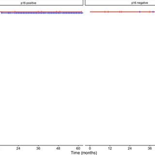 Five‐year local control of patients with oropharyngeal squamous cell ...