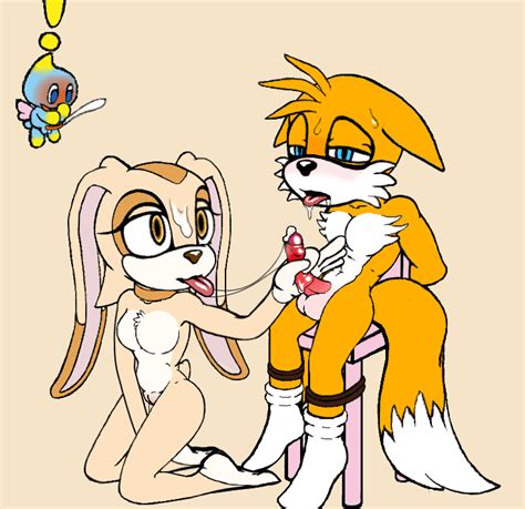 Rule 34 Anthro Bodily Fluids Chao Sonic Cheese The Chao Cream The Rabbit Cum Female Femdom