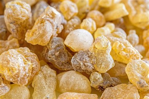 Organic Frankincense Resin Boswellia Carterii Imported From Egypt