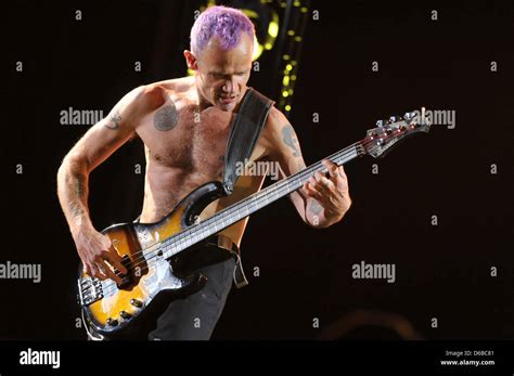 Bassist Michael Flea Balzary Of The Us Band Red Hot Chili Peppers Performs On Stage At The