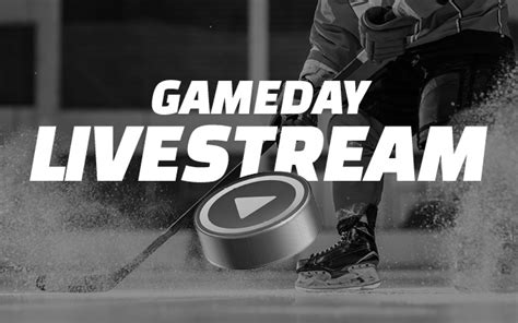 Hull Seahawks – NIHL Hockey Team