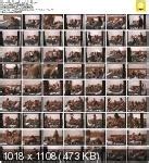 Suzy Sweet Unknown Movies Please Read Porn Fan Community Forum