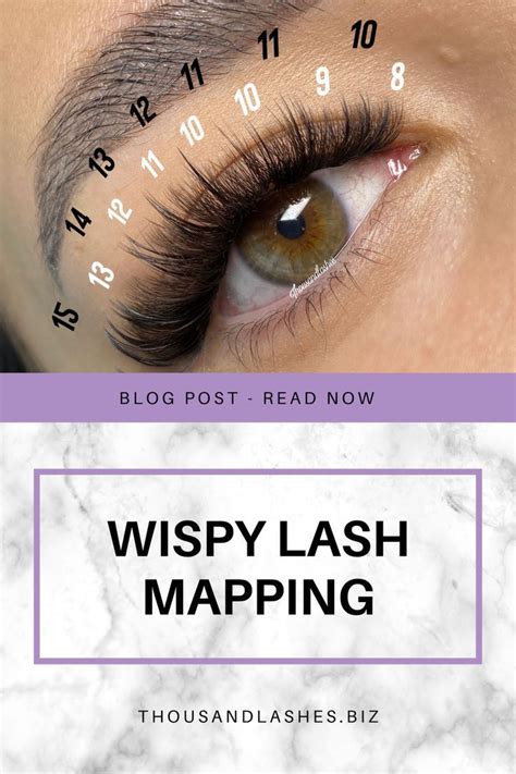 A Comprehensive Guide To Lash Mapping Wispy Lashes Whispy Lashes