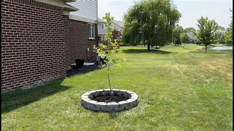 PaverTrax - How to build a paver tree ring in less than 10 minutes