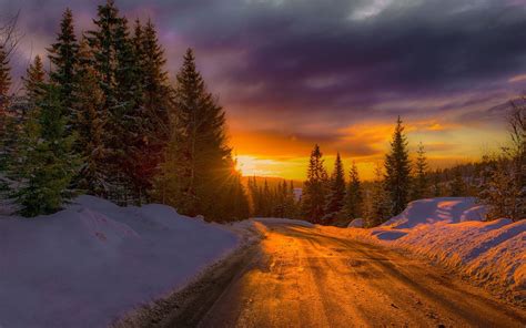 1920x1100 / forest, sunset, nature, winter - Coolwallpapers.me!