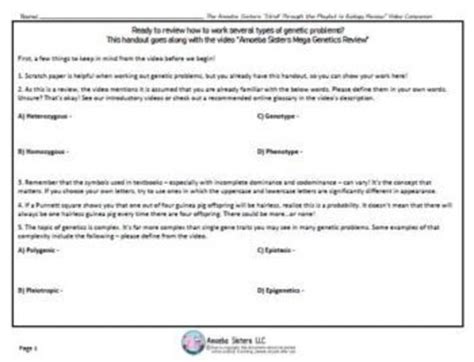Sisters Mega Genetics Review Answer Key