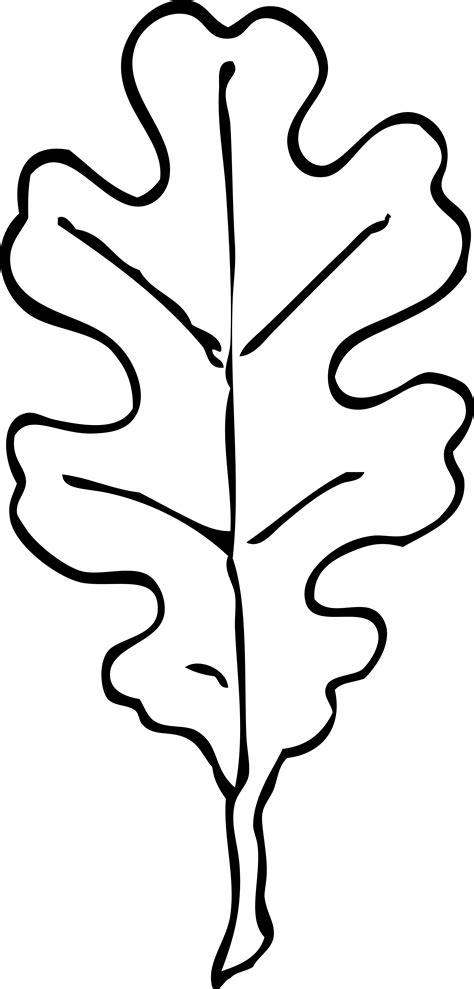 Fall Leaves Outline Clip Art
