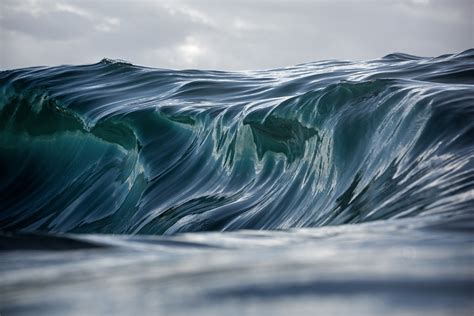 2016 National Geographic Nature Photographer Of The Year The Atlantic