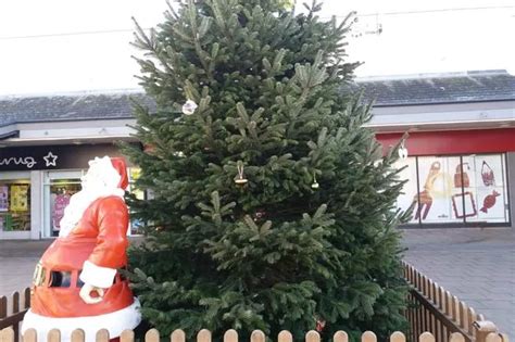Naked Christmas Tree Embarrassing Say Coalville Residents Leicestershire Live